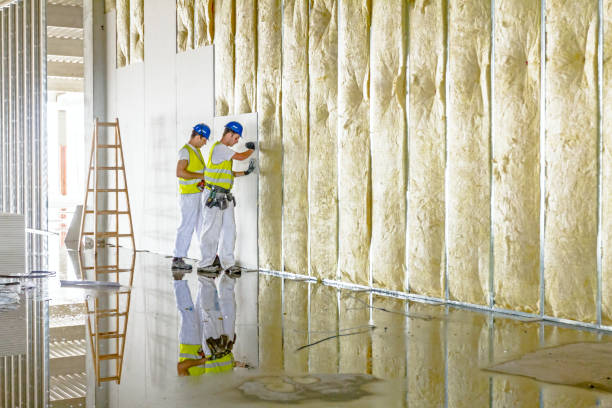 Best Types of Insulation in Hydesville, CA